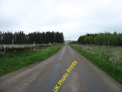 Foto 12x8 Der Weg nach Halkirk Westerdale\/ND1251 Man könnte fast denken t c2016