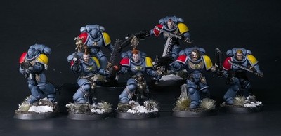 Pro Painted Space Wolves Grey Hunters Squad | Warhammer 40k | Tabletop+ | Fully