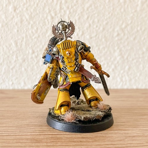 Warhammer 30k Space Marines - Painted Imperial Fists Army - BoxedUp (208) - 第 31/83 張圖片