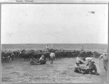 Photo:Branding on the XIT