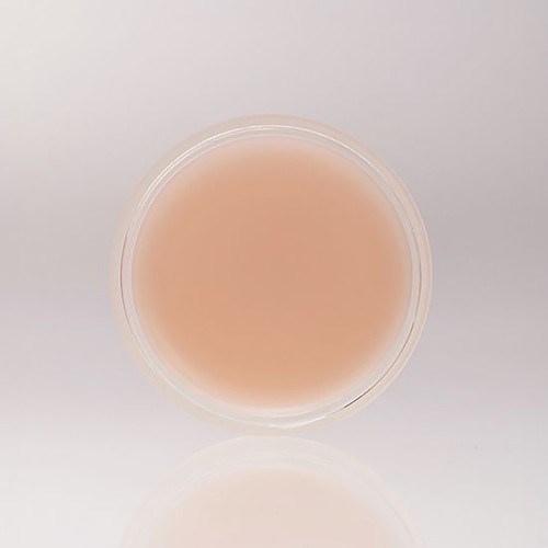 XOUL Ever Moist Lip Balm 8g K-Beauty - Picture 5 of 14
