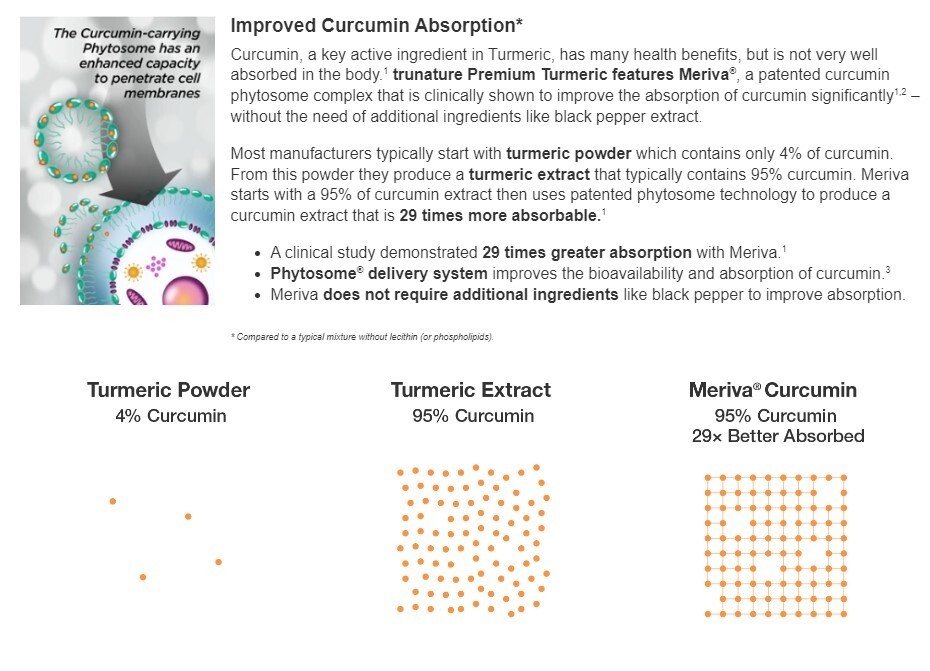 Turmeric Curcumin 1000mg 180 Capsules Natural AntiInflammatory USP Ver