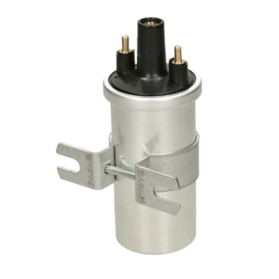 Bobina D'Accensione NGK 48342 - Compatibile Con Fiat Panda, Alfa Romeo, Lancia E Altri