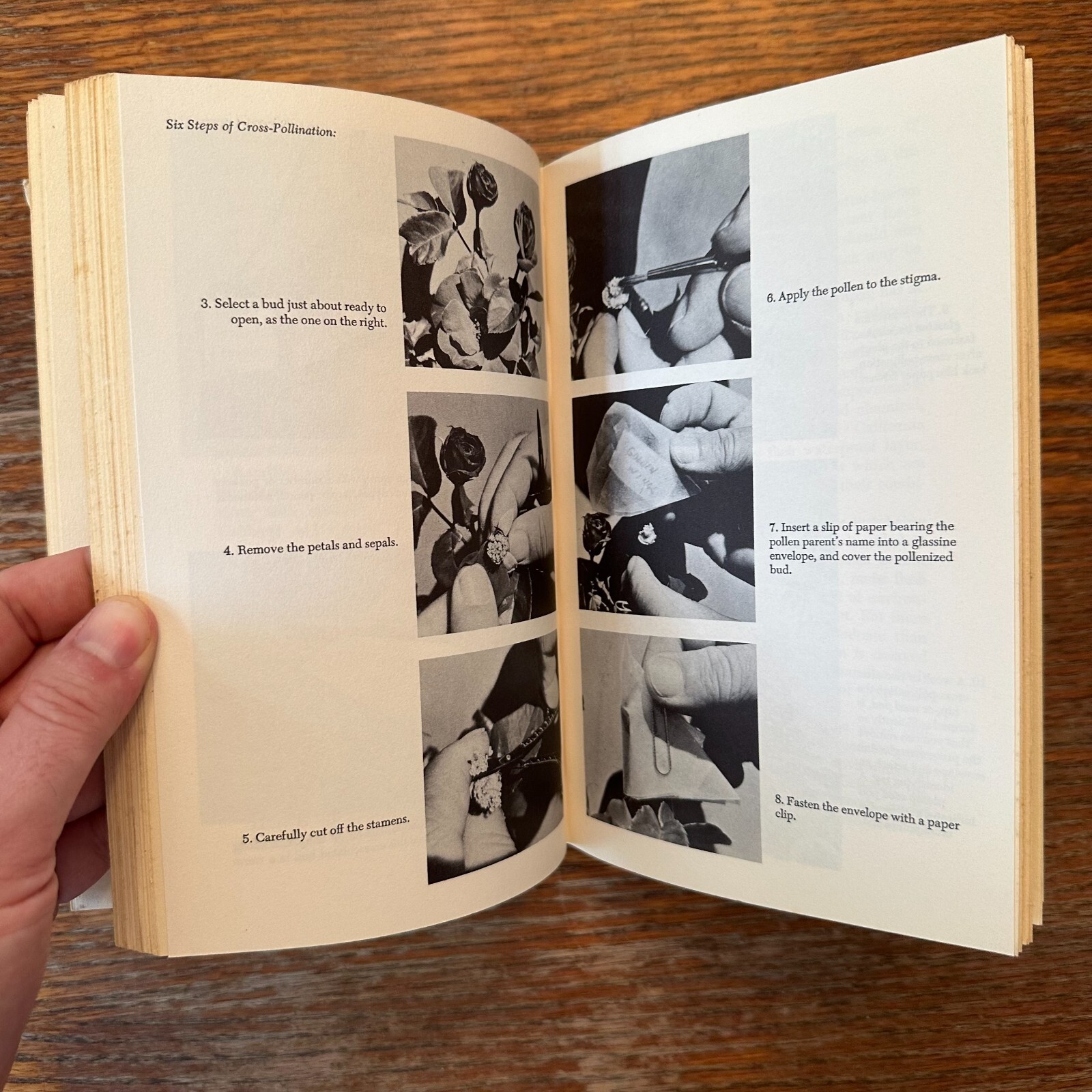 Create New Flowers and Plants by John James 1966 1st Ed Hardcover VERY GOOD