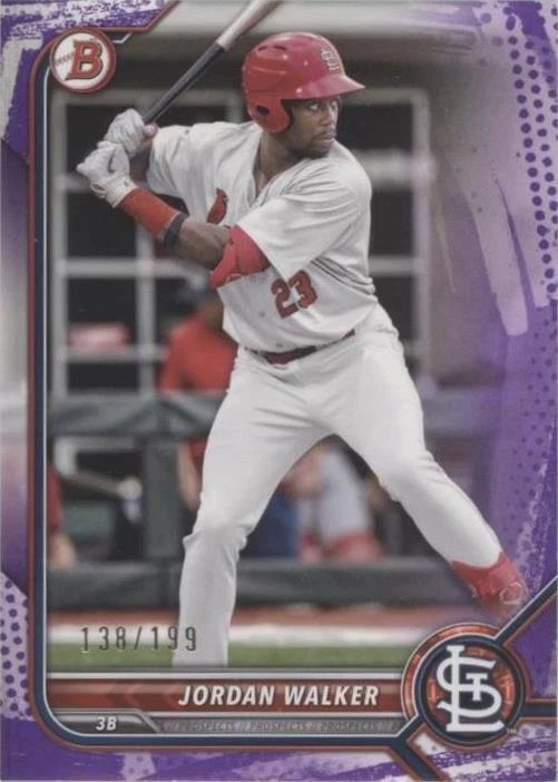 Purple Pattern Border