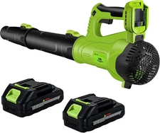 Leaf Blower Cordless with 2 Batteries and Fast Charger, 6 Speed Mode, 21V Electr