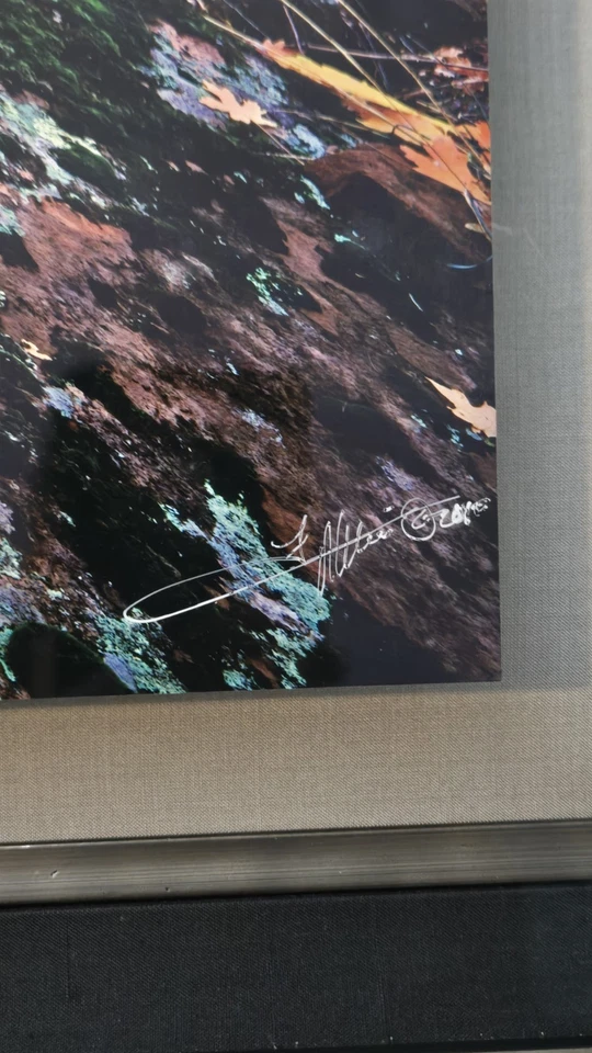 FIRMADO Michael Fatali Cibachrome Foto Impresión 2/750 Otoño Sión Paisaje Foto 2 de 4