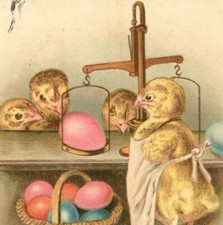 c.1908 Easter Postcard Chicks Weighing Eggs Store Dealer Apron Anthropomorphic