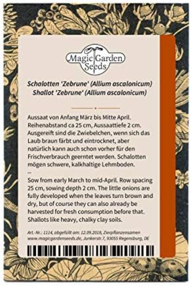 Scalogno 'Zebrune' (Allium ascalonicum) - circa 100 semi