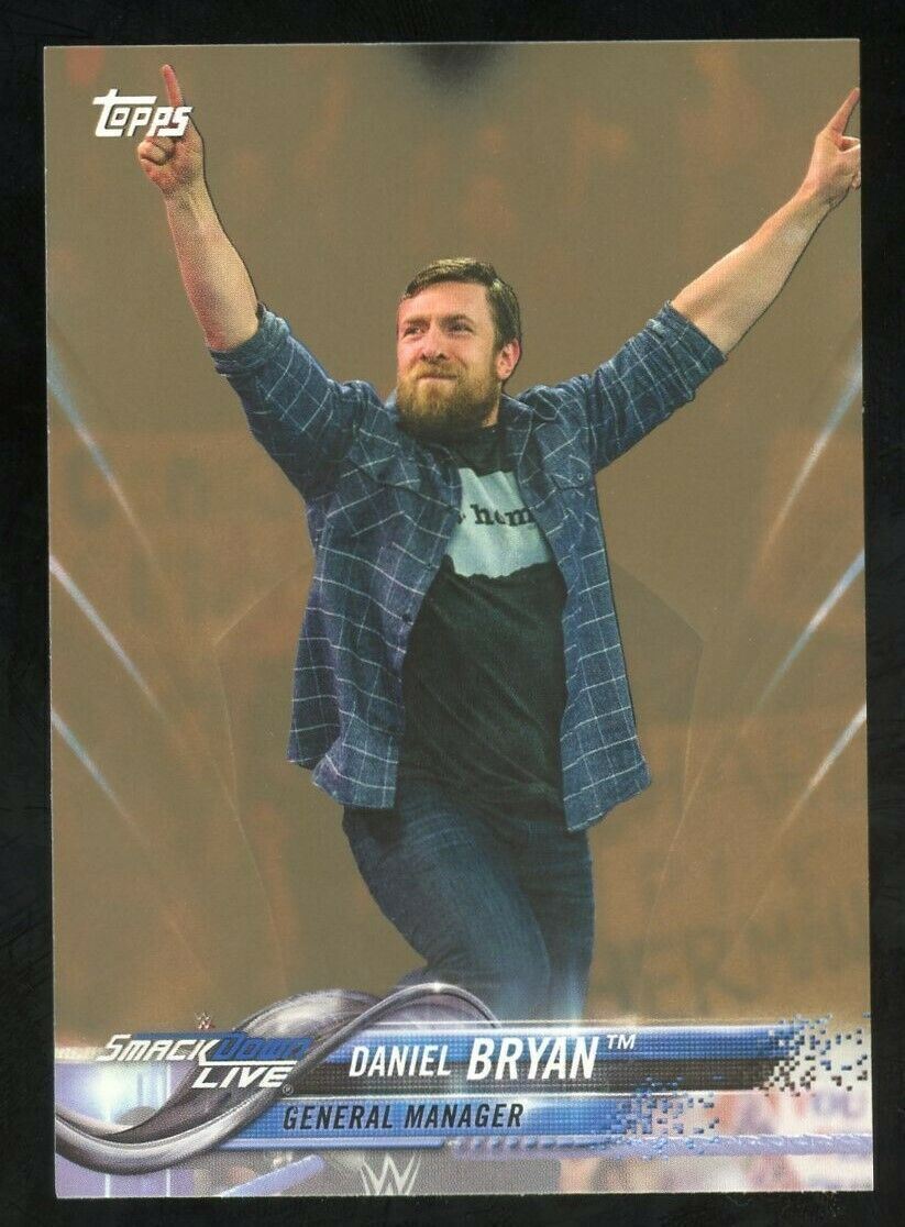 2018 Topps WWE Daniel Bryan Bronze Parallel #28