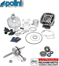 Set Renforcement Cylindre 70CC Arbre Dos Pleine Roulements Polini Piaggio 50