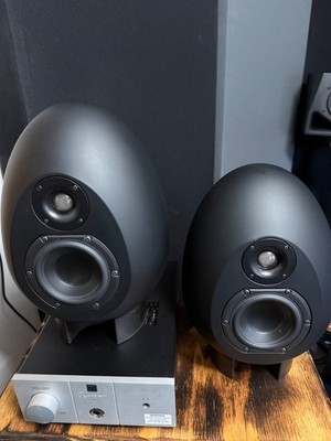 Munro Sonic Egg 100 Studio Monitore Lautsprecher Paar inkl. Original Verstärker