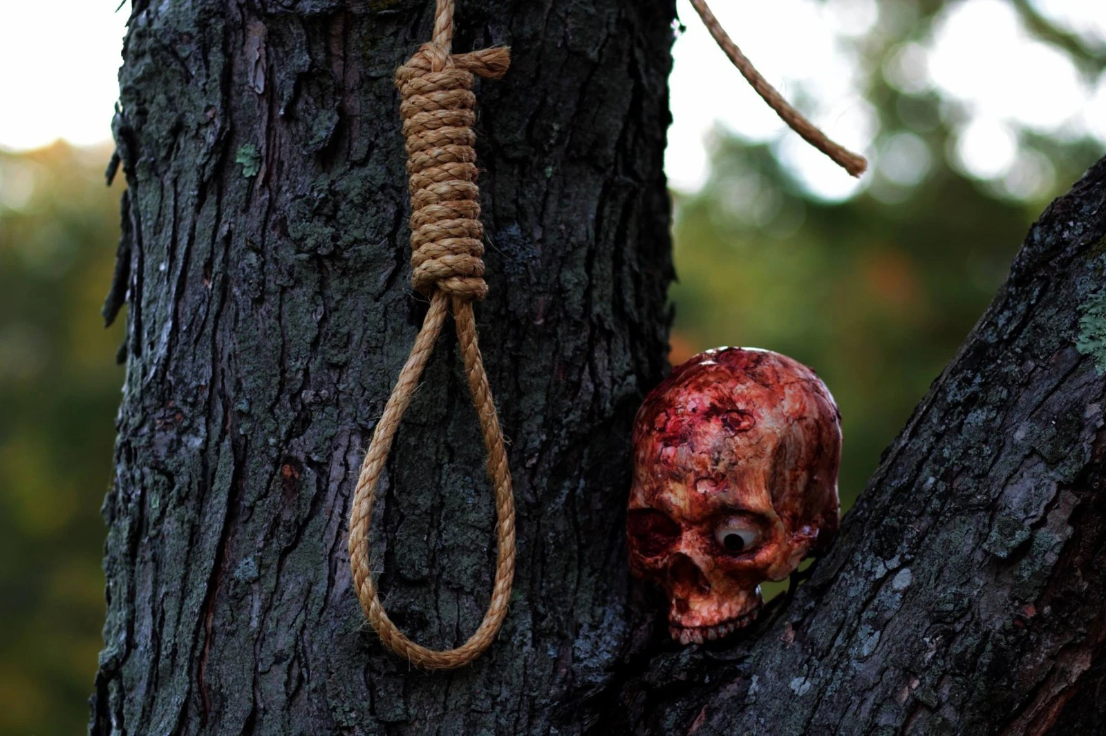 Halloween Hangman's Noose Prop Made To Order 1/2" Rope 20 Feet Long