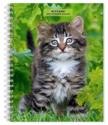 Kittens | 2025 6 x 7.75 Inch Spiral-Bound Wire-O Weekly Engagement Planner Calen
