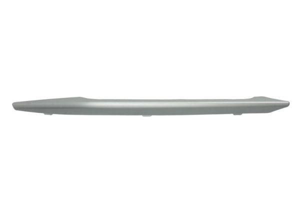 Right Front BLIC 6502-07-0062928P Trim/Protection Strip, bumper for BMW