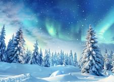 7x5ft Winter Wonderland Forest Photography Backdrop Christmas Tree Snowflake ...