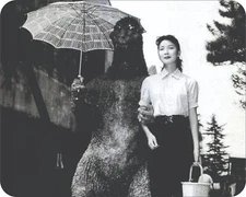 Godzilla Behind the Scene Lunch Mouse Pad Stunning Photos AI Drawing Mousepad