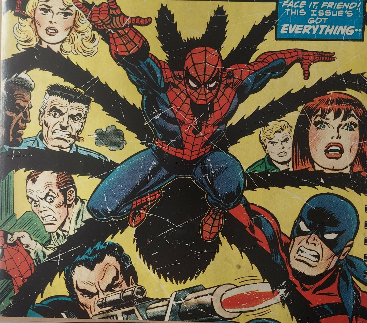 新品未開封 THE SPIDER-MAN VAULT