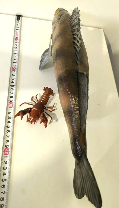 Décoration sandre XXL 47cm - Idéal cadeau pêcheur - Photo 2/3