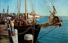 Cape Cod MA-Massachusetts Steamer Nantucket At Woods Hole cartolina d'epoca
