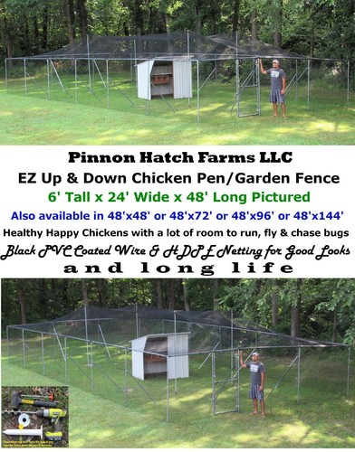 Poultry Netting 25' x 50' 2" Mesh Heavy Knotted Aviary Hawk Stop Bird Chicken - Picture 3 of 14