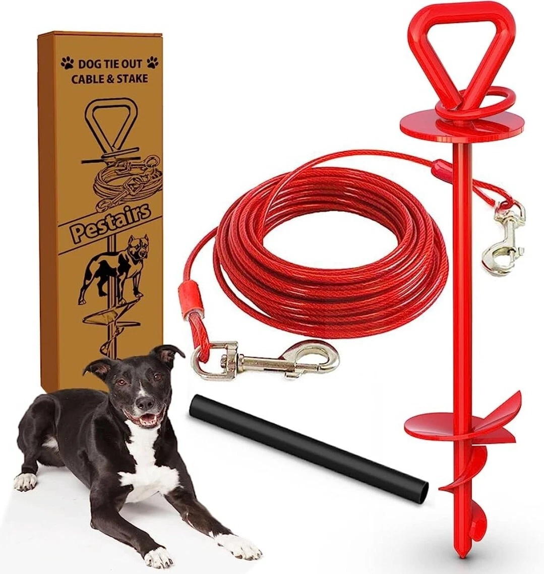 Two dog 2024 tie out