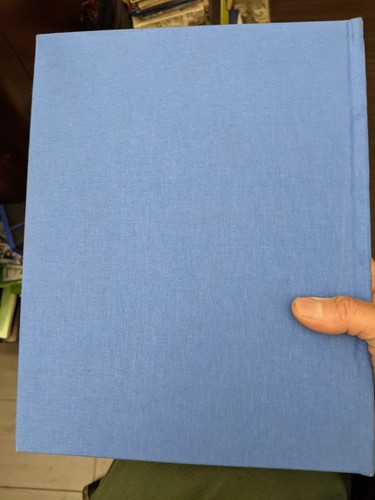 ORIGINAL SCHRIFT, DIE HAND GOTTES von PAUL SORRENTINO, GOLDEN GLOBES RÜCKSICHT - Bild 3 von 4