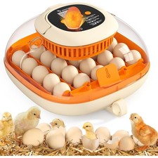 Automatic Egg Incubator with 360  Clear View Window Digital Thermometer