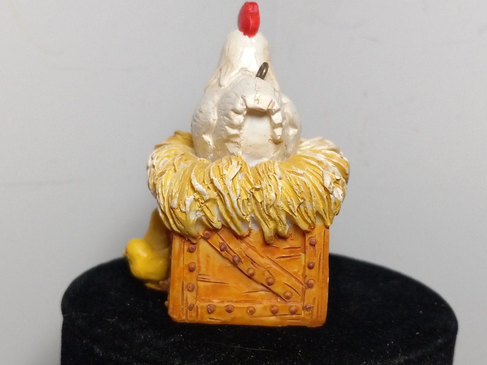 Picture 8 of 20