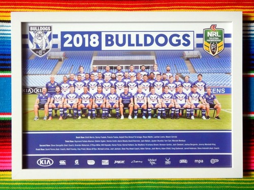 Framed 2018 CANTERBURY BULLDOGS NRL Poster - 45cm x 32cm x 3cm - Picture 1 of 2