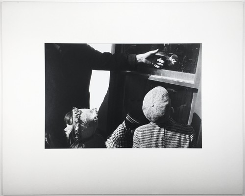 Garry WINOGRAND: Monkey, Central Park Zoo, NYC, 1964 / Ptd 1978 /GWHK-07/ SIGNED - Picture 2 of 4