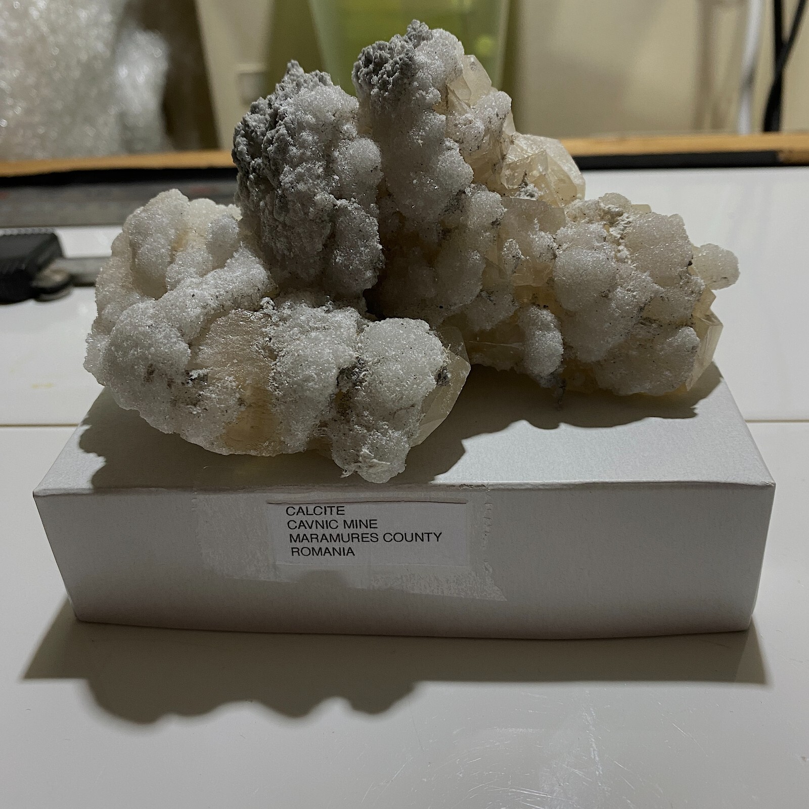 Picture 1 of 21