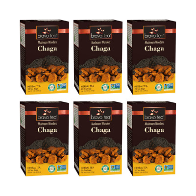 Chaga Mushroom Tea by Bravo Tea (6 Boxes of 20 Teabags Each)