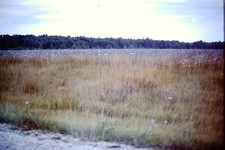 JULY 1976  Farmland In Ohio Kodachrome  Slide CI-J
