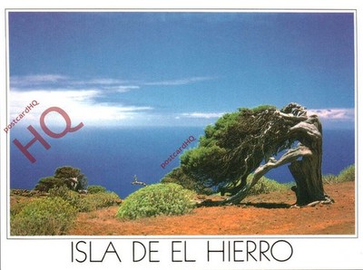 Ansichtskarte:;Isla De El Hierro, El Sabinal
