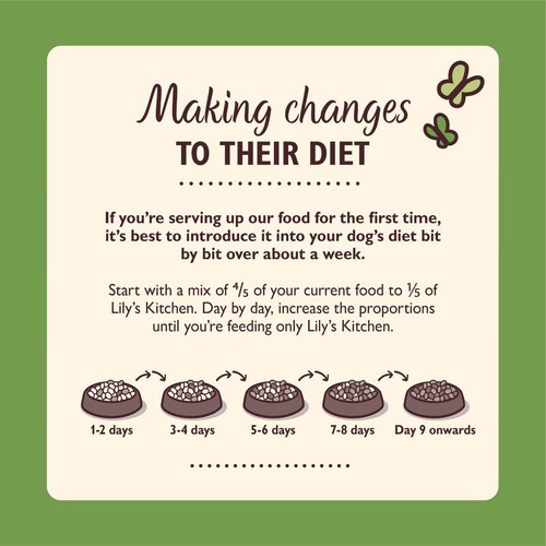 Lily's Kitchen:Premium Adult Dog Food Collection–Salmon Supper, Shepherd's Pie.. - Picture 13 of 24