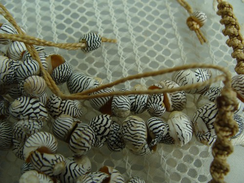 Mini Striped Zebra Sea Shell 2 Multi Strand Braided Hemp Beach Boho Adj Necklace - 第 19/24 張圖片