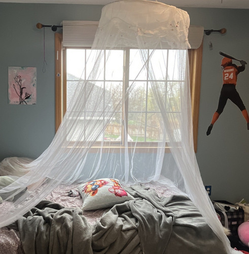 White Mesh Embroidered Queen Bed Canopy Netting, Round Hoop Frame, Luxury
