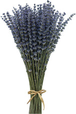 Coolcrafts Dried Lavender Flowers Bundles 200 Stems Dry Lavender Bunch for Home