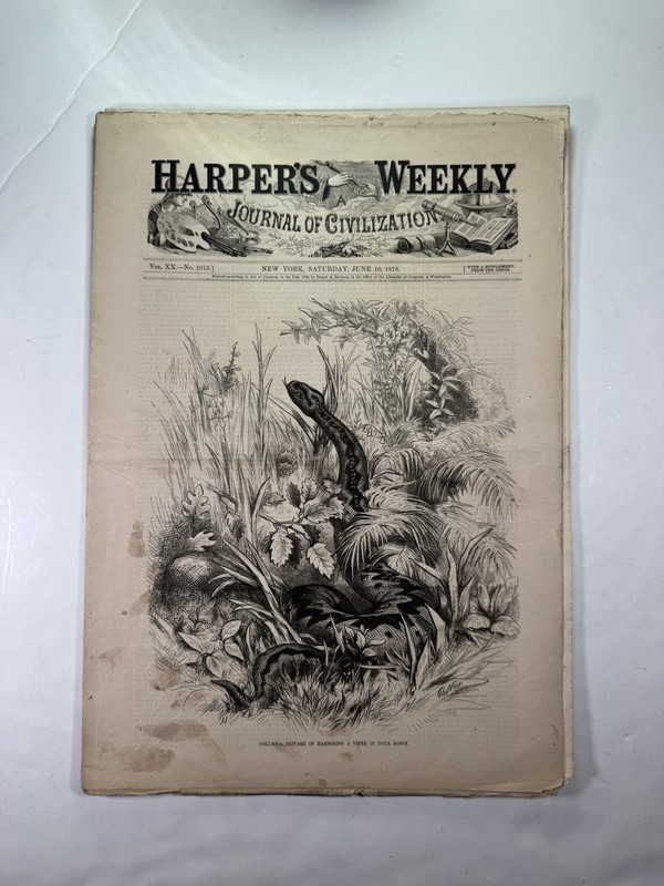 Harper’s Weekly June 10, 1876-Philly Bridge-Centennial-Andes/Amazon-Ft. Sumter