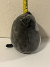 Original Squishmallows Bongo Pug 8”Squishy Plush BlackGray Puppy Dog W/Bone USED — photo 6