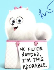 Jenny Slate "The Secret Life of Pets" AUTOGRAPH Signed 'Gidget' 8x10 Photo