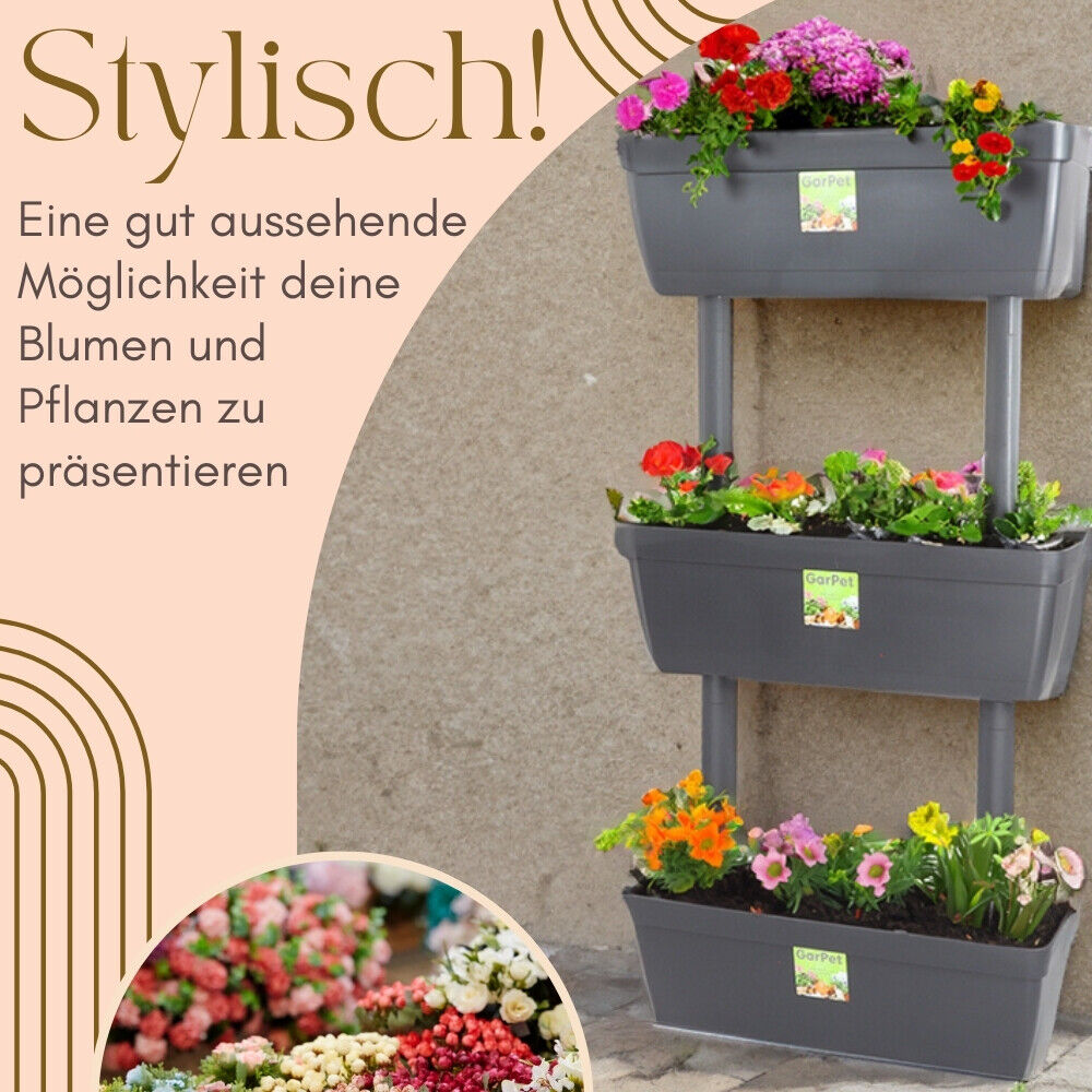 Bild 3 von 7