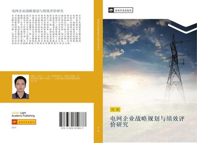 Tuo Liu | dian wang qi ye zhan lve gui hua yu ji xiao ping jia yan jiu | Buch