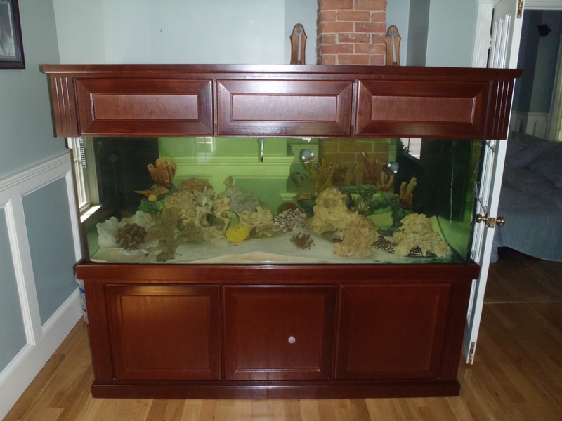 marineland 300 gallon deep dimension starphire glass aquarium 