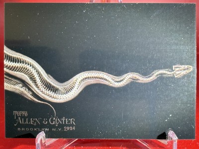 2024 Topps Allen & Ginter Ball Python #XR-5 X-ray'd