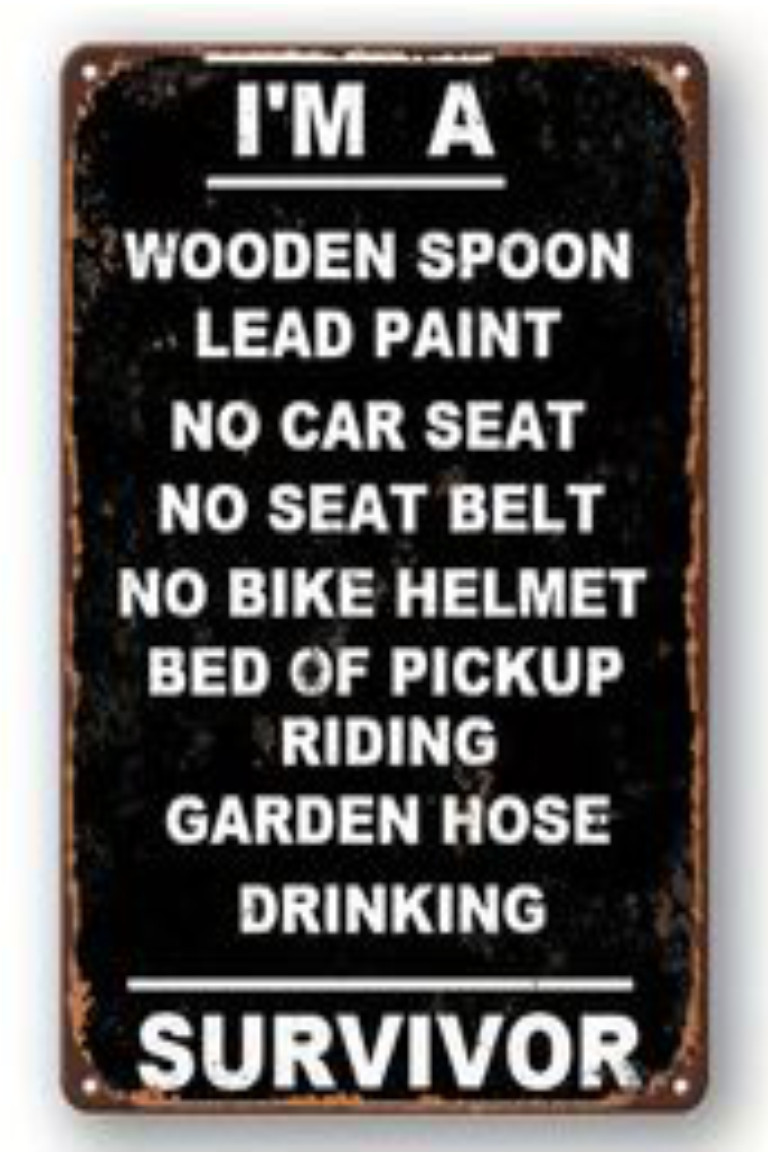 I'm a Wooden Spoon Survivor Funny Retro 70s 80s 90s 8x12 Aluminum Metal Sign