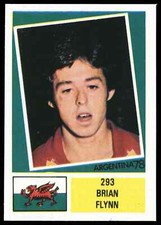 F.K.S. - 'Argentina 78'  #293 Brian Flynn (Wales) (1978)