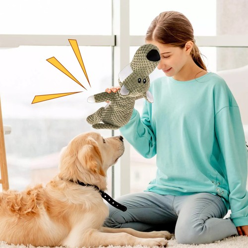 Dog Chew Toys Durable Aggressive Chewers Interactive Squeaky Pet Dog Toy - Picture 6 of 8