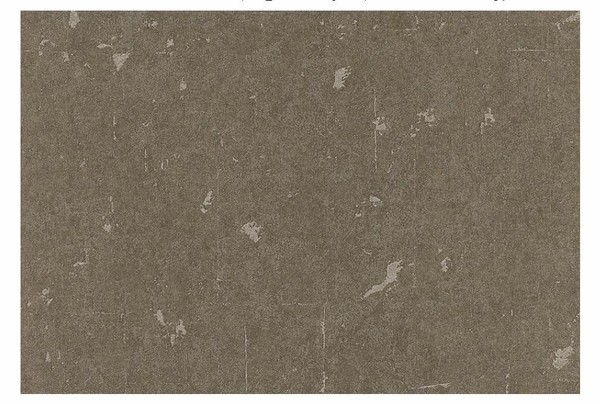 Rasch Textil Tapete Vlies Tintura 227283 Braun Creme Hellgrau Uni Eyecatcher-image